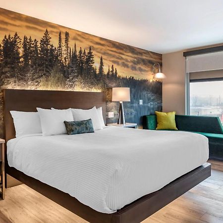 Cambria Hotel Shelby Township - Detroit Utica Shelby Twp Extérieur photo