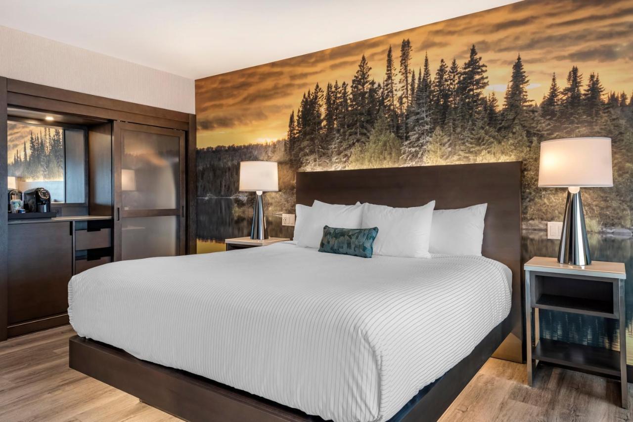 Cambria Hotel Shelby Township - Detroit Utica Shelby Twp Extérieur photo