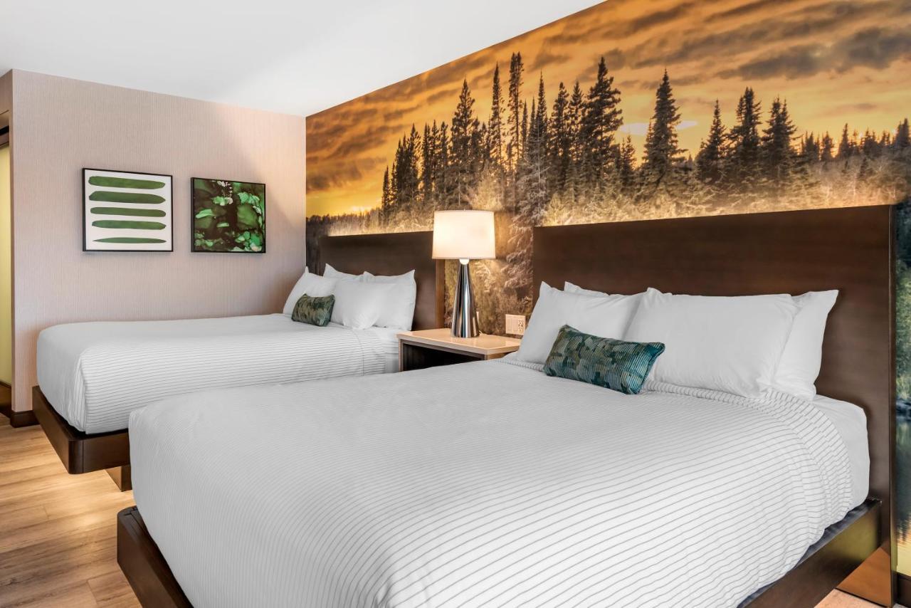 Cambria Hotel Shelby Township - Detroit Utica Shelby Twp Extérieur photo